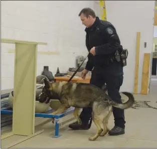  ?? NEWS PHOTO MO CRANKER ?? Const. Jason Ross and police service dog Astor do drug search testing Thursday afternoon at the old Rona building on Dunmore Road. The two have been training for a couple weeks, and will soon travel to Calgary to become a certified drug team.