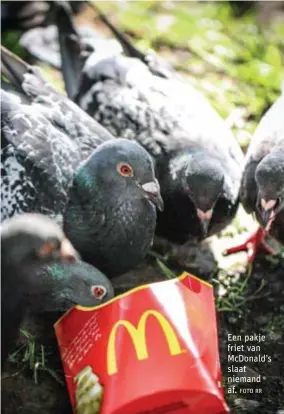  ?? FOTO RR ?? Een pakje friet van McDonald’s slaat niemand af.