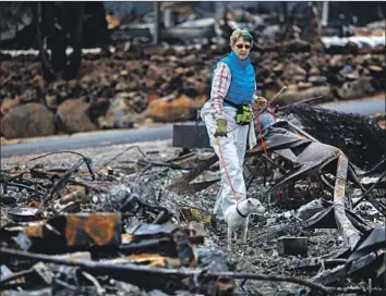  ?? Kent Nishimura Los Angeles Times ?? BARBARA PENCE, a handler with the Institute for Canine Forensics, walks with search dog Asha amid the remains of the Ridgewood Mobile Home Park, which housed many seniors, in Paradise in December.