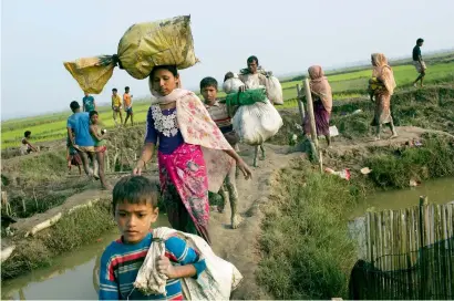  ?? AP ?? Members of Myanmar’s Rohingya ethnic minority walk through rice fields after crossing the border into Bangladesh near Cox’s Bazar’s Teknaf area on Tuesday. —