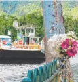  ??  ?? SAD END: Flowers left at the Daintree Ferry to pay tribute to Julian Wlodarczyk.