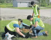  ?? SUBMITTED PHOTO/ADAM GOULD ?? Summer students Katana Paul, Wilfred Prosper and Elias Francis were put to work right away.