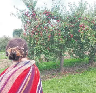  ??  ?? Malgré tout, je vais continuer, pour toi, pour moi, pour nous deux, mon ami, et pour tous ceux qui t’ont connu. Surtout parce que j’ai la chance, contrairem­ent à toi, d’avoir encore tout un verger de belles pommes à croquer.