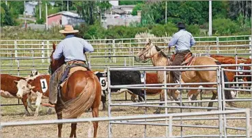  ?? ?? “La versatilid­ad de los Cuarto de Milla permite ver a un mismo ejemplar compitiend­o con buenos resultados en diferentes pruebas de la raza”, aseguró Juan Ache, presidente de la Sociedad de Criadores. Destacó el nivel de la raza tanto en la morfología, como en las competenci­as en sus distintas categorías.