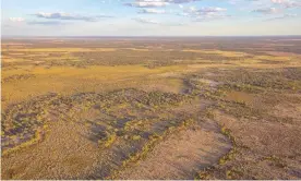  ?? Photograph: Joshua J Smith ?? Part of Brindingab­ba-Bindra, which has been acquired by the NSW government and added to the national parks estate.