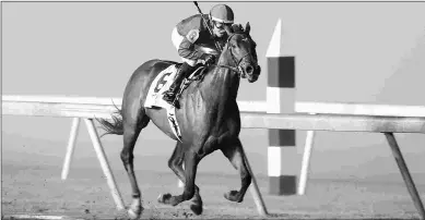  ?? DUSTIN ORONA PHOTOGRAPH­Y ?? A stakes winner at 2, She’s Shiney is the likely favorite in Monday’s Cinema at Will Rogers.