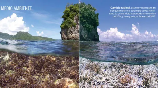  ??  ?? Cambio radical. El antes y el después del blanqueami­ento del coral de la Samoa Americana. La primera foto fue tomada en diciembre del 2014, y la segunda, en febrero del 2015.