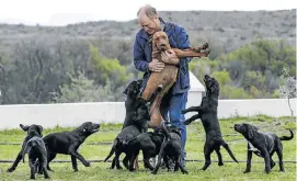  ??  ?? IN LIMBO: Farm owner Appie Viviers plays with his dog Soetlief and her puppies. He complains he has not been offered enough compensati­on for the potential destructio­n of his livestock