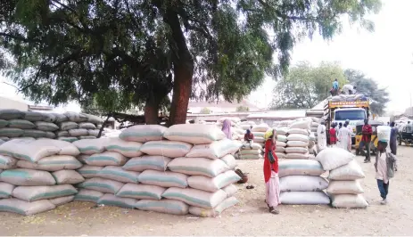  ??  ?? Bags of maize begging for buyers at Damaturu Sunday market in Yobe State