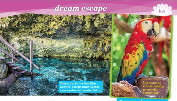  ??  ?? Take a dip in the Dos Ojos Cenote, a large underwater cave system in nearby Tulum
See stunning scarlet macaws as you visit Xcaret Park