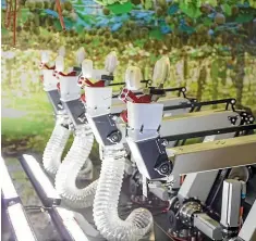  ??  ?? The rural sector has already been transforme­d by technology, and jobs on the farm are far fewer than they used to be. A kiwifruit-picking robot could be the future of orchard work and help curb the worker shortage in the industry.