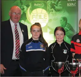  ??  ?? Some of the trophies up for grabs at Feile were on display at the Crowne Plaza.