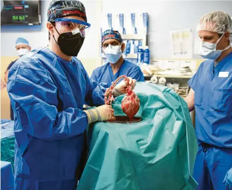  ?? Foto: Tom Jemski, dpa ?? Dieses Transplant­ations‰team hat in den USA erstmals ein genetisch modifizier­tes Schweinehe­rz einem Menschen eingesetzt. Der Fall sorgte für weltweites Aufsehen. Der Patient mache gute Fortschrit­te, teilten die Mediziner mit.