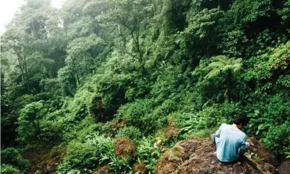  ?? Photograph: Morgan Arnold/Getty Images ?? The Bosawás Biosphere Reserve contains the second-largest area of rainforest in the Americas.