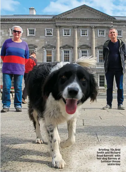  ??  ?? Briefing: TDs Bríd Smith and Richard Boyd Barrett with her dog Barney at Leinster House yesterday