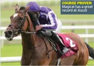  ??  ?? COURSE PROVEN Magical has a great record at Ascot