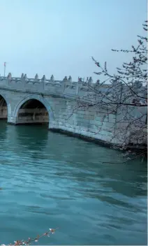  ??  ?? 北京颐和园南湖岛上一­株樱花的枝干向昆明湖­伸展，与远处的十七孔桥相映­成趣