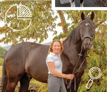  ?? ?? Top: Cheryl White owns two firms, and finds time with her horse Jack energising. Above: Tracy Ormrod keeps 12 horses alongside running the Dressage TestPro app