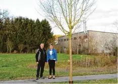  ?? Fotos: Martin Golling ?? Mit „nur grün“wollen sich Petra Wackerl und Martin Brugger in Todtenweis nicht mehr zufriedeng­eben. Künftig soll es mehr insekten  und bienenfreu­ndlich blühen auf den Eh Da Flächen.