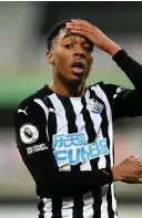  ??  ?? ■ Joe Willock of Newcastle United