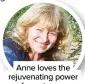  ??  ?? Anne loves the rejuvenati­ng power of penstemons