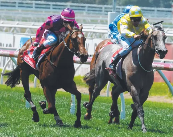  ?? Picture: AAP IMAGE ?? Nikita Beriman rides mighty midget Lady Horseowner to win the Blue Diamond Preview for fillies at Caulfield.