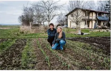  ?? ?? Die beiden Neu-landwirte bewirtscha­ften insgesamt eine Fläche von 26 Hektar – das entspricht etwa 36 Fußballfel­dern.