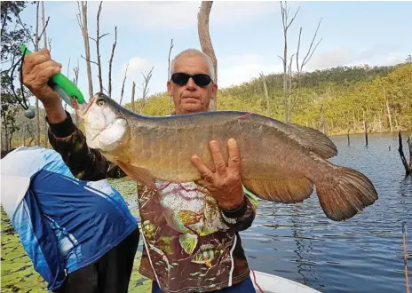  ?? Photo: Contribute­d ?? LANDED: Gary Wolens from Ipswich with a 750mm saratoga at Kingaroy Sportfishi­ng Club's annual Tag-a-Toga competitio­n.