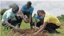  ??  ?? Aufforstun­g und Umweltbild­ung ist ein weiteres Anliegen des ugandische­n Sozialunte­rnehmes Tusafishe