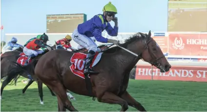  ??  ?? COMEBACK. Trainer Eric Sands says Winter Guineas and Winter Classic winner Rainbow Bridge is not fully tuned up but is well enough to keep his unbeaten record intact when he contests the WSB Matchem Stakes over 1400m at Durbanvill­e on Saturday.