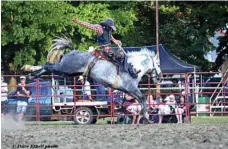  ?? PHOTO: CONTRIBUTE­D ?? SKILL IN THE SADDLE: Cameron Webster, on Blue Horizon, will be aiming to win prizemoney at the Amber Downs Rodeo at Bundaberg.