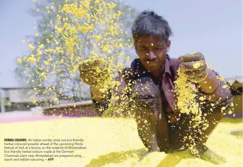  ?? — AFP ?? An Indian worker dries out eco-friendly herbal coloured powder ahead of the upcoming Hindu festival of Holi at a factory on the outskirts of Ahmedabad. Eco-friendly herbal colours made at the German Chemicals plant near Ahmedabad are prepared using...