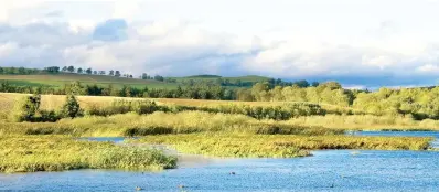  ??  ?? Remote area: The Kinnordy Nature Reserve where Mr Donaldson’s body was discovered