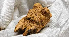  ?? Foto: Marijan Murat, dpa ?? Einer der berühmtest­en Funde aus den Eiszeithöh­len der Schwäbisch­en Alb: die „Ve nus vom Hohle Fels“, die älteste bekannte Menschenfi­gur.