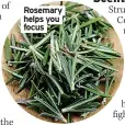  ??  ?? Rosemary helps you focus