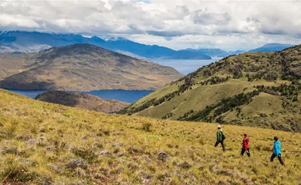  ?? TOMPKINS CONSERVATI­ON ?? Above / Arriba: Hikers on the Lago Chico trail in Patagonia National Park. Trekking en el sendero Lago Chico en el Parque Nacional Patagonia.