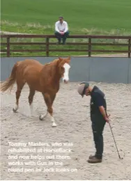  ??  ?? tommy Masters, who was rehabilite­d at horseBack and now helps out there, works with Gus in the round pen as Jock looks on