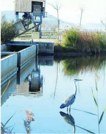  ?? ?? Los humedales de Illa de Mar y de l’Embut, en el Delta del Ebro, declarados reserva natural de fauna salvaje