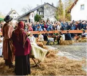  ?? Fotos: Uwe Bolten ?? Hunderte Besucher verfolgten die Darstellun­g der Geburt Jesu bei der lebendigen Krippe.