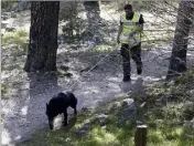  ??  ?? Jet, le berger-allemand de la gendarmeri­e n’a pas pu distinguer l’odeur du disparu de celle de son frère.