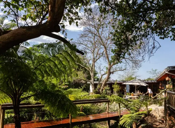  ?? ?? ABOVE The walkway at Orchid Farm Stall leads to the garden, function area, nursery and their new day spa.