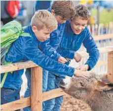  ?? FOTOS: FELIX KÄSTLE ?? Außer niedlichen Tieren für den Nachwuchs gibt es jede Menge Infos für Landwirte.