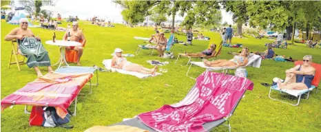  ?? FOTO: SUSI DONNER ?? Sommerfreu­nde – sie treffen sich seit Jahrzehnte­n auf der grünen Wiese im Eichwaldba­d und genießen das Leben (von links): Alois Schlachter, Armin Schubertha­hn, Gerlinde Gleffe, Maja Gassner, Helga Schwindt, Sigrid Hartmann und Siglinde Scholze.