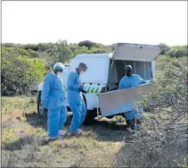  ?? Picture: FREDLIN ADRIAAN ?? GRIM DISCOVERY: The scene on Saturday afternoon after four bodies were found in the bushes at Coega