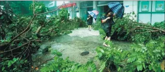  ?? MAO SIQIAN / XINHUA ?? Residents make their way through trees felled by strong winds at a science park in Shenzhen, Guangdong province, on Sunday. Typhoon Mangkhut made landfall in Taishan on Sunday afternoon, packing winds up to 162 kilometers per hour.