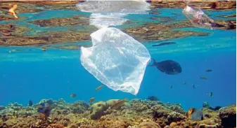  ?? ?? Plastikmül­l sammelt sich zunehmend in den Tiefen der Ozeane.