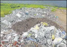  ??  ?? The constructi­on and destructio­n debris dumped near Pandavkada waterfall at Kharghar’s Sector 20. BACHCHAN KUMAR/HT