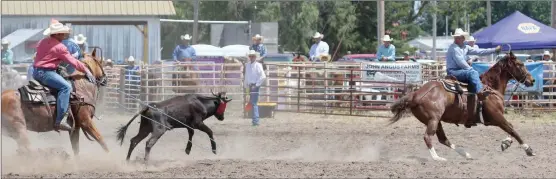  ?? Tim Conover ?? Travis Lymber (HD) of Broken Bow and Ira Spanel (HL) of Broken Bow, pictured above, competed in Team Roping at the Sumner Rodeo the afternoon of July 4th but had a little bad luck as they ended up with no time.