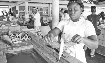  ??  ?? The Fisheries Sector in the Caribbean Community is an important source of income. Four Caribbean countries have done an inventory of the major sources of mercury contaminat­ion in their islands. Pictured is the fish market in Barbados.