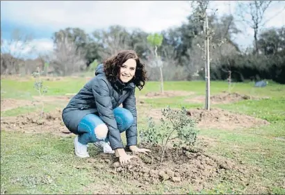  ?? COMUNIDAD DE MADRID / EFE ?? Díaz Ayuso va plantar un arbre a Boadilla del Monte durant la cimera del clima de Madrid